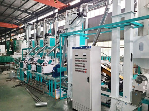 5TPD Small Scale Corn Maize Milling Plant