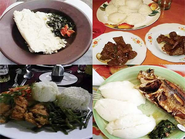 10-20TPD Complete Maize Grinding Machine/Plant FINISHED PRODUCTS