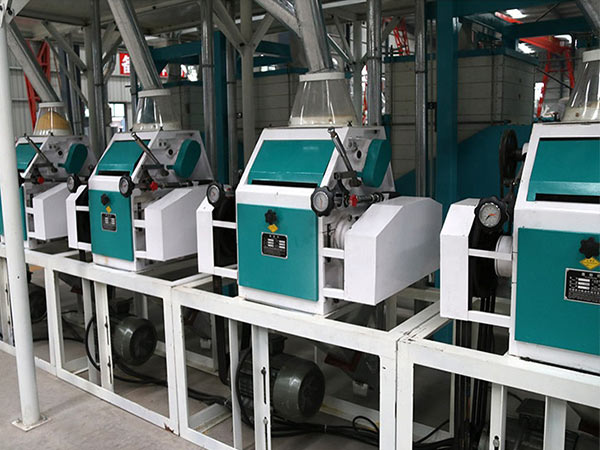 5TPD Small Scale Corn Maize Milling Plant