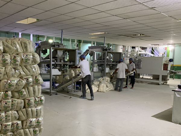 240Ton/24H Precooked Corn Flour Production Line