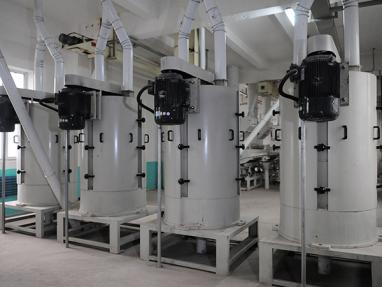 300-500Ton Maize Processing Plant Solution