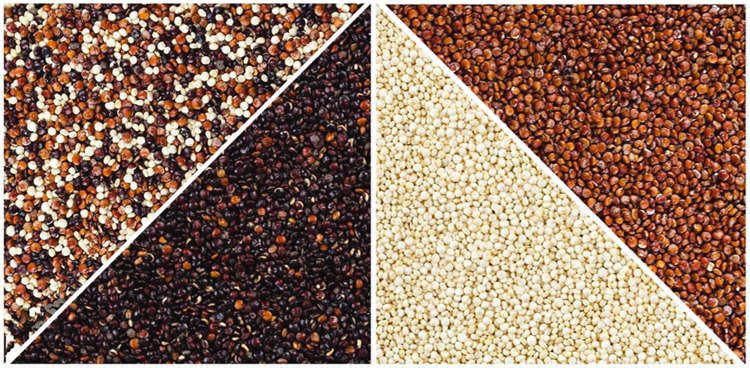 Quinoa Processing Plant FINISHED PRODUCTS