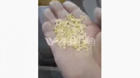 Thailand Mung Bean Peeling and Splitting Line