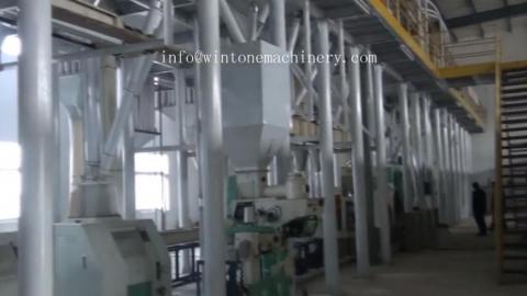 150T Corn Cleaning, Grits and Flour Milling, Germ Extraction Project