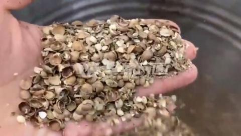 2021 Hemp Seeds Dehulling Machine---Sacha Inchi Nuts Dehuller, Sheller Machine