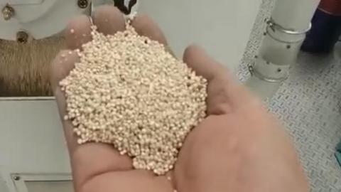 Quinoa processing plant (cleaning, saponin removing, peeling,packing)